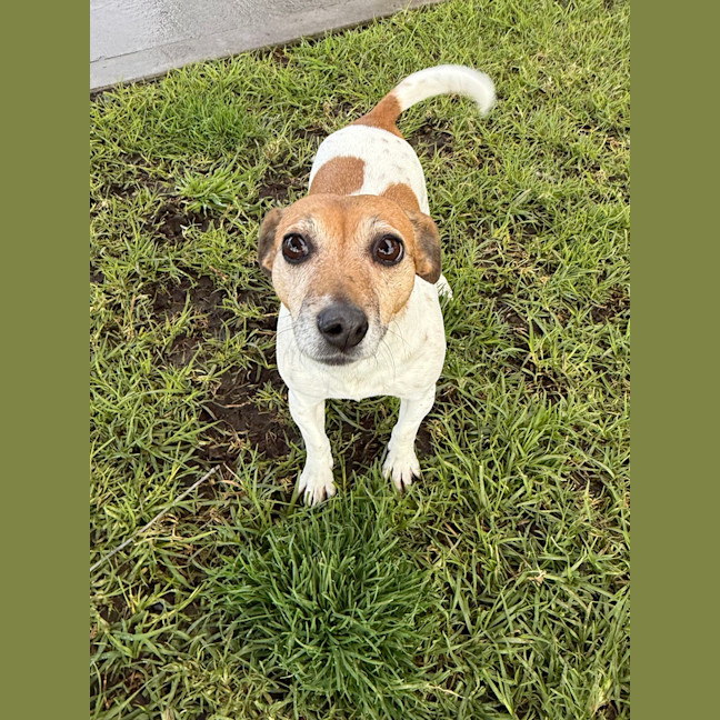 Photo of Chloe