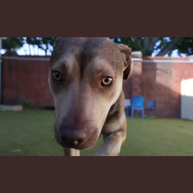 Photo of Queenie