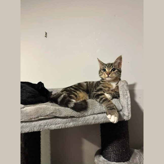 Photo of Leo