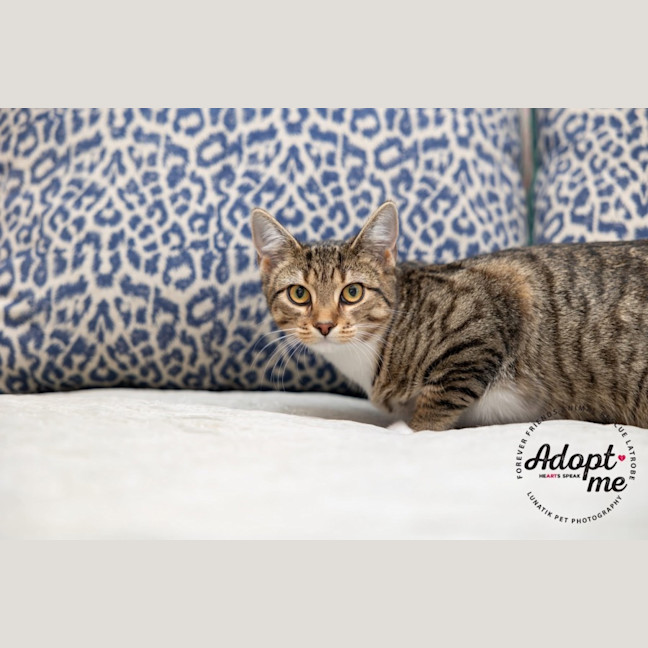 Photo of Eleanor 🌼