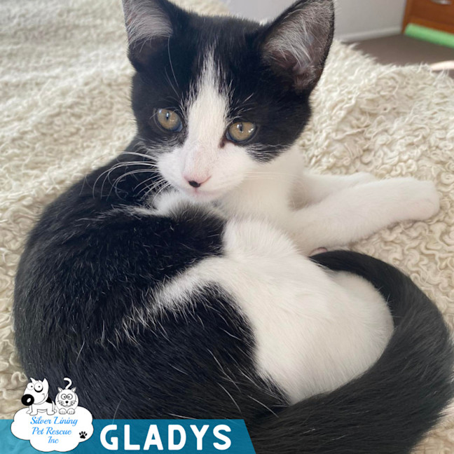 Photo of Gladys