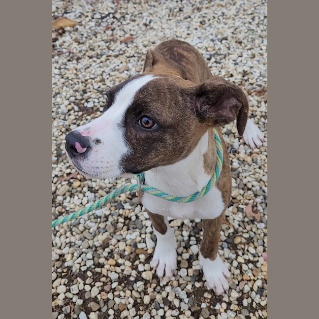 Photo of Lil Lasagna