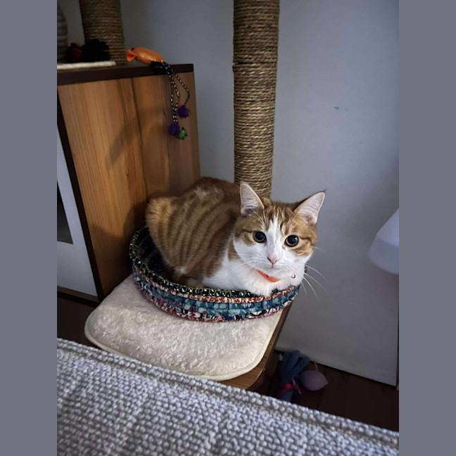 Photo of Edgar (Egg 🥚) 