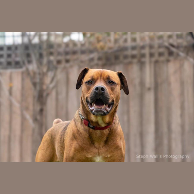 Photo of Skye Peggotty