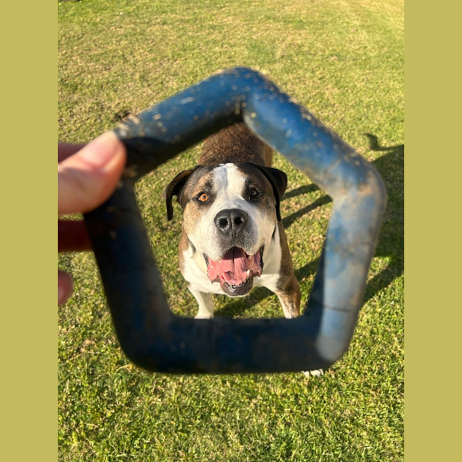 Photo of George