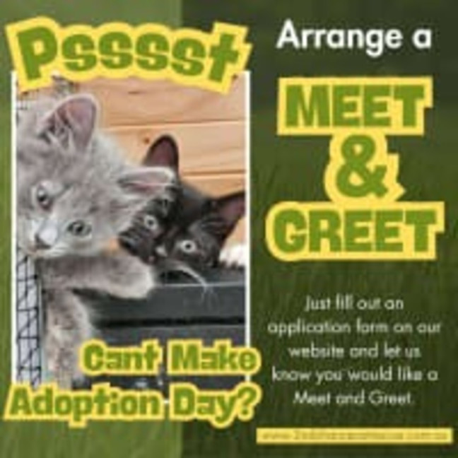 Photo of Opera ** 2nd Chance Cat Rescue **