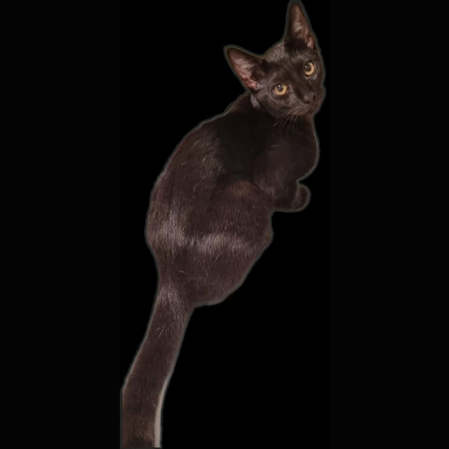 Photo of Martha