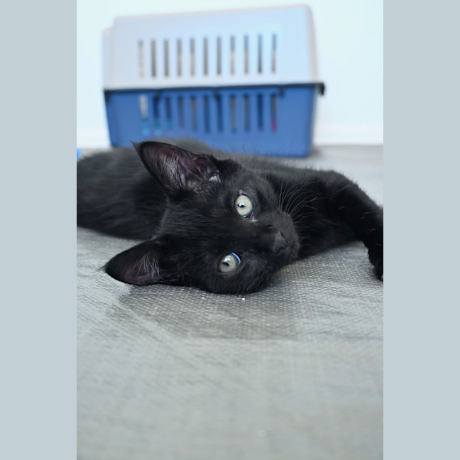 Photo of Ernest