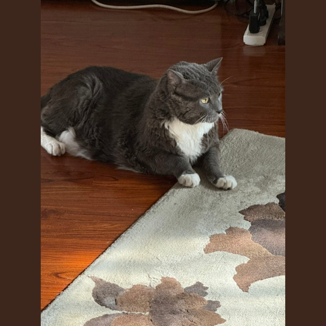 Photo of Timmy