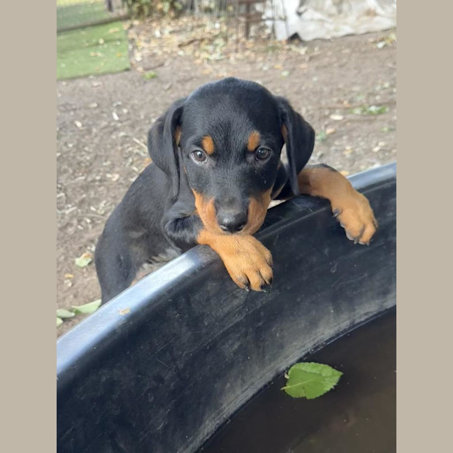 Photo of Frankie Mae