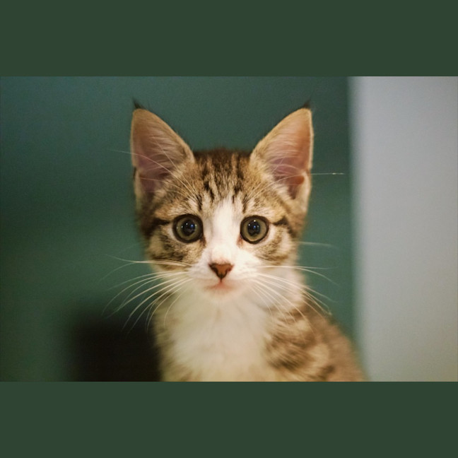 Photo of ☀️ Somersby ☀️