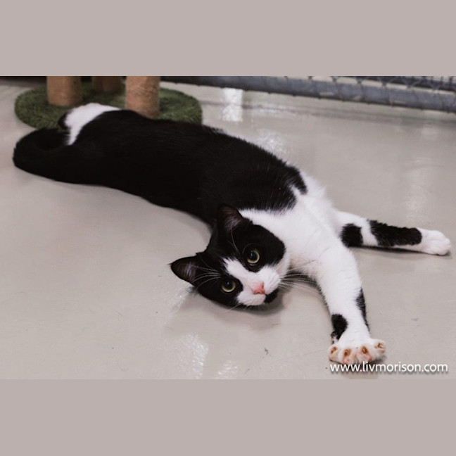 Photo of Jasper Picton