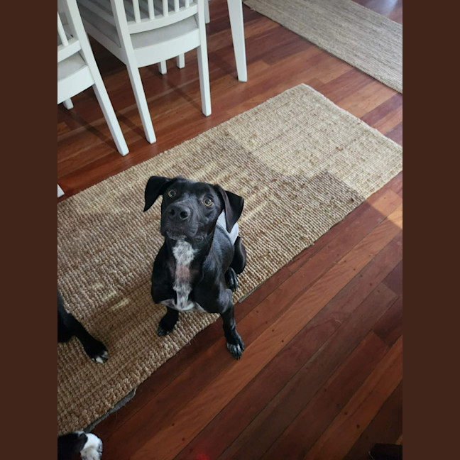 Photo of Coco