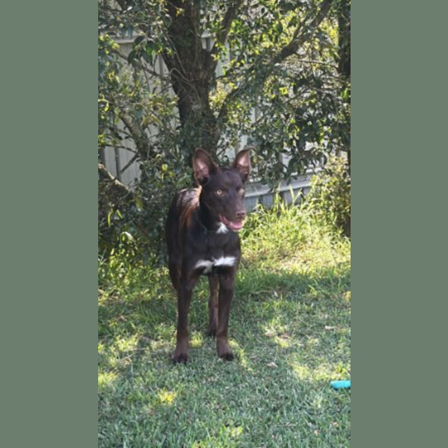 Photo of Gus