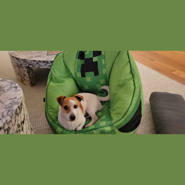 Photo of Sheldon