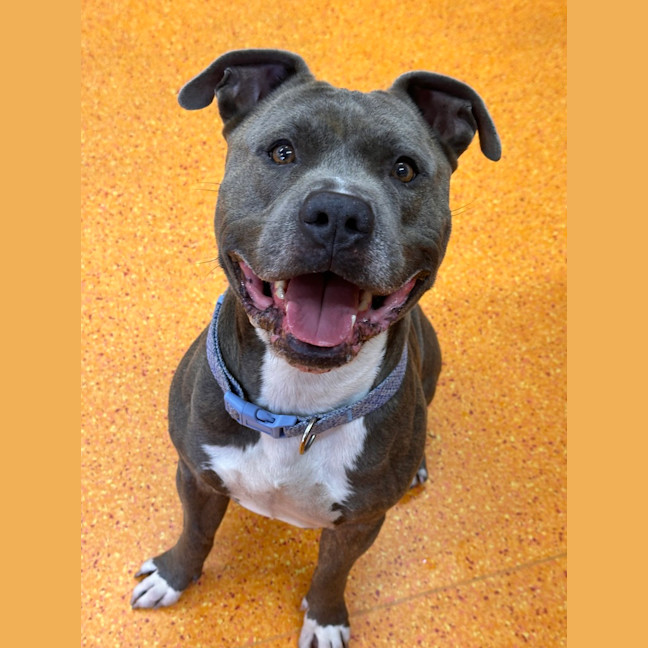 Photo of Tank