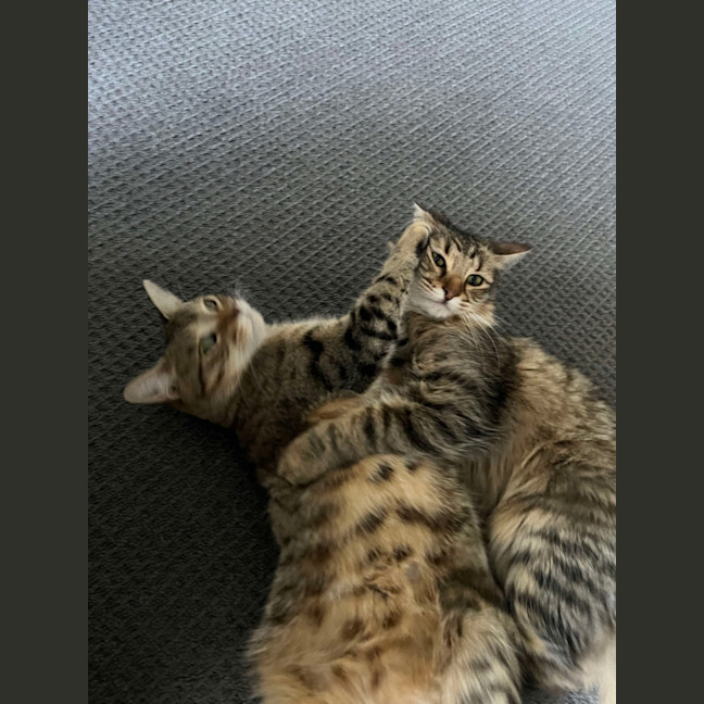 Photo of Barney & Fred