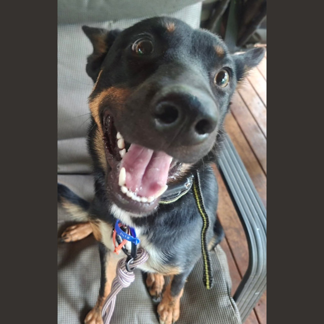 Photo of Ruby