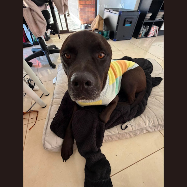 Photo of Axel