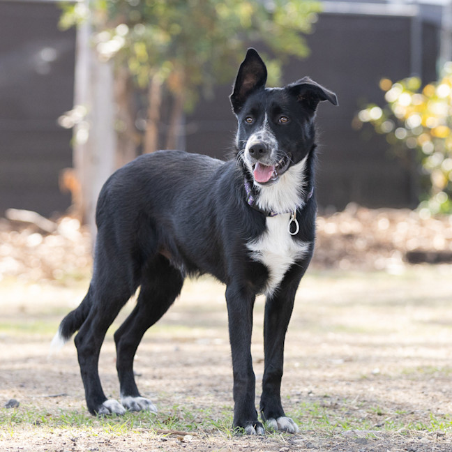 Photo of Murphy