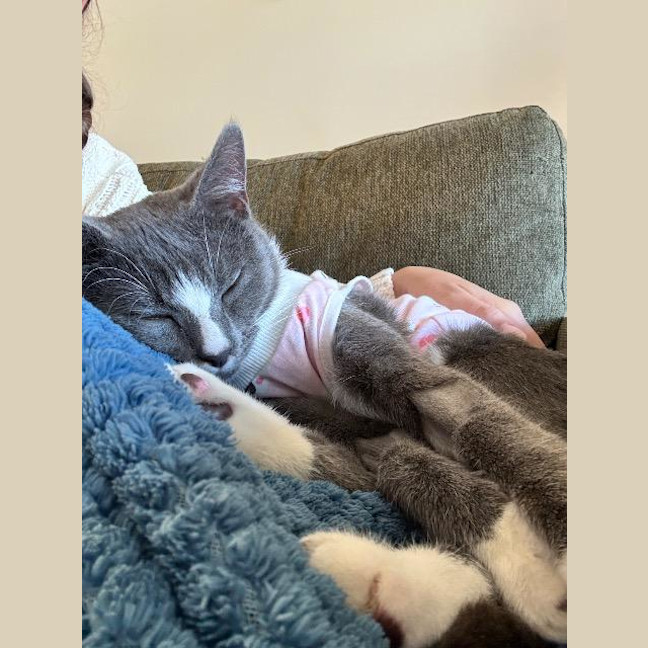 Photo of Shadow