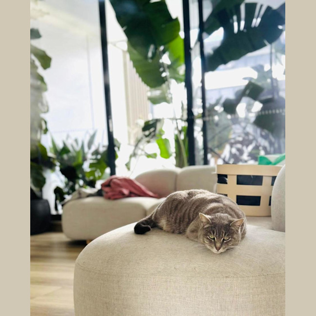 Photo of Emmi 🌸