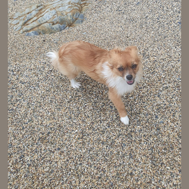 Photo of Lili
