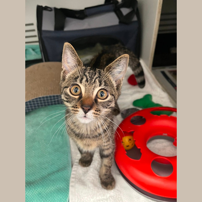 Photo of Marcus *Meet Me At Pet Stock Kingsford*