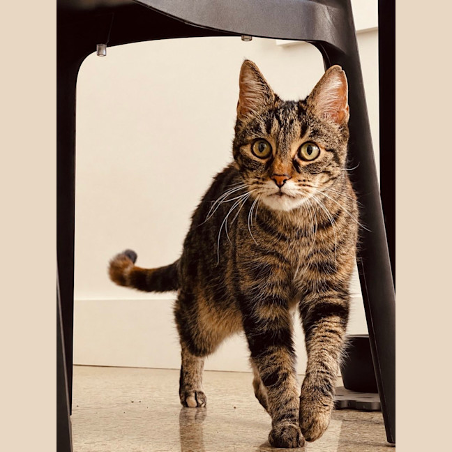 Photo of Zoe