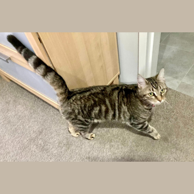 Photo of Luna