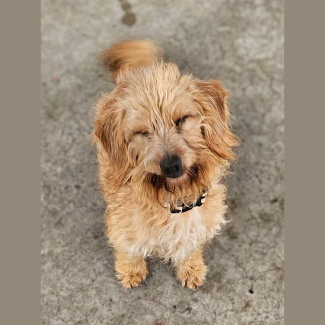 Photo of Coco