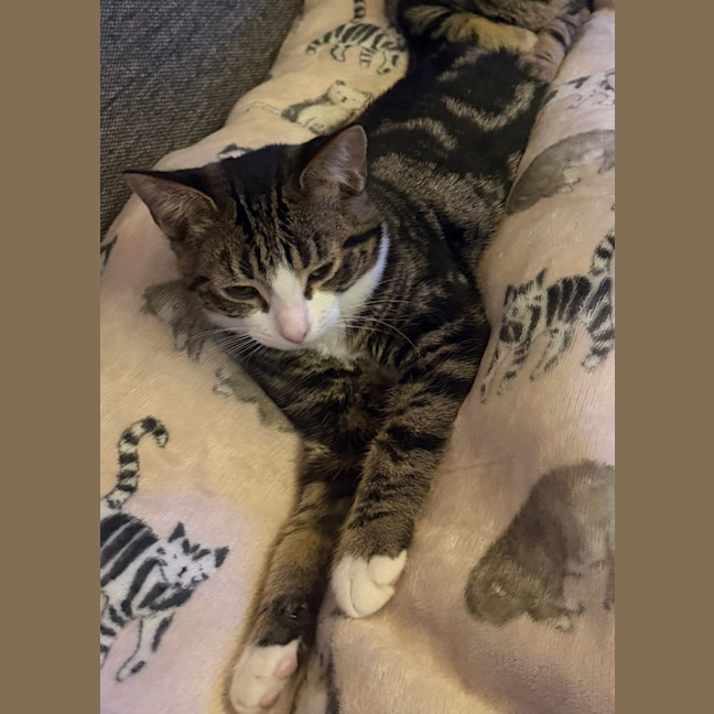 Photo of Leon