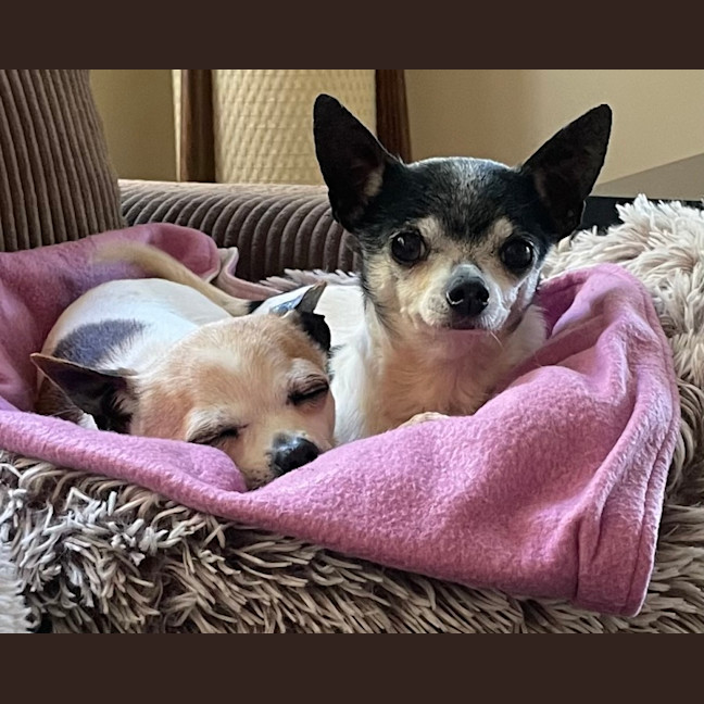 Photo of Chase And Isabella 