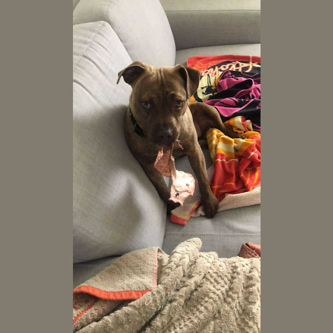 Photo of Milly