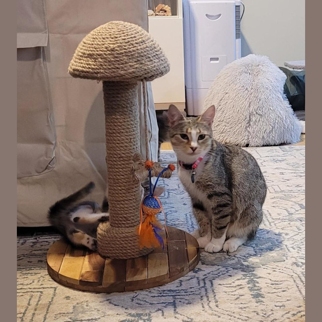 Photo of Belle