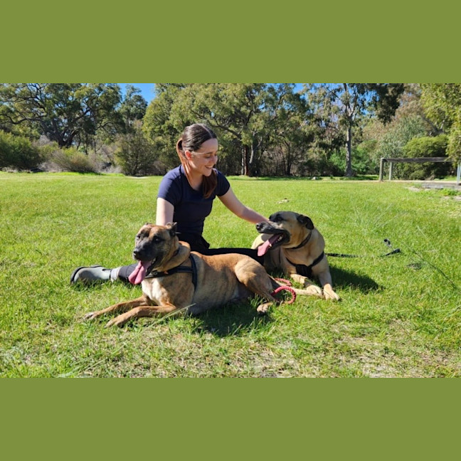 Photo of Tiger & Buster