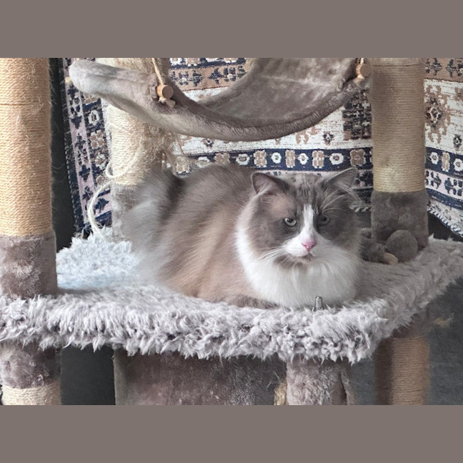 Photo of Cloudi And Zani