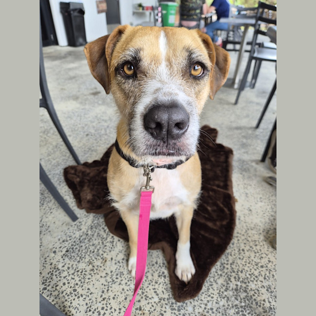 Photo of Boop