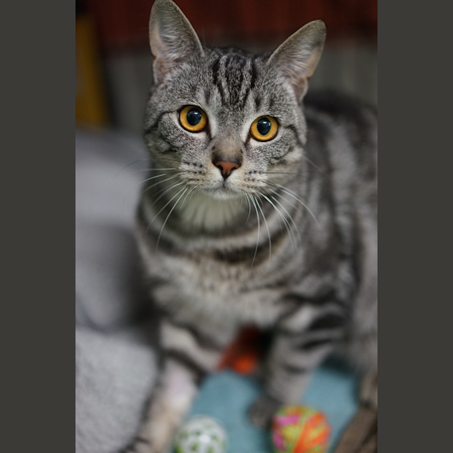 Photo of Sebastian