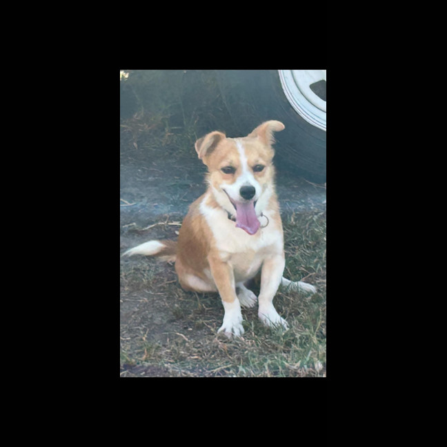 Photo of Alvin