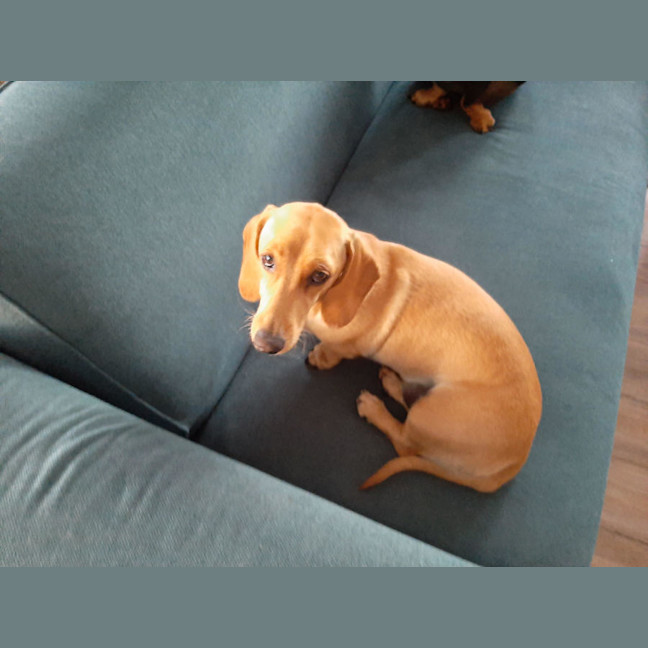 Photo of Bill And Ted