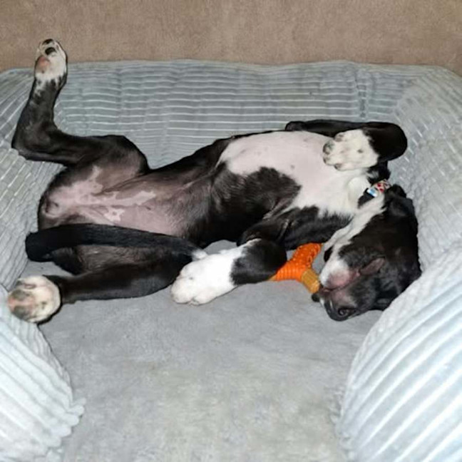 Photo of Chloe