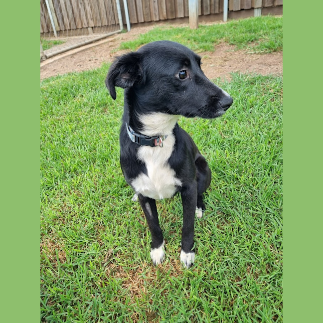 Photo of Mavis
