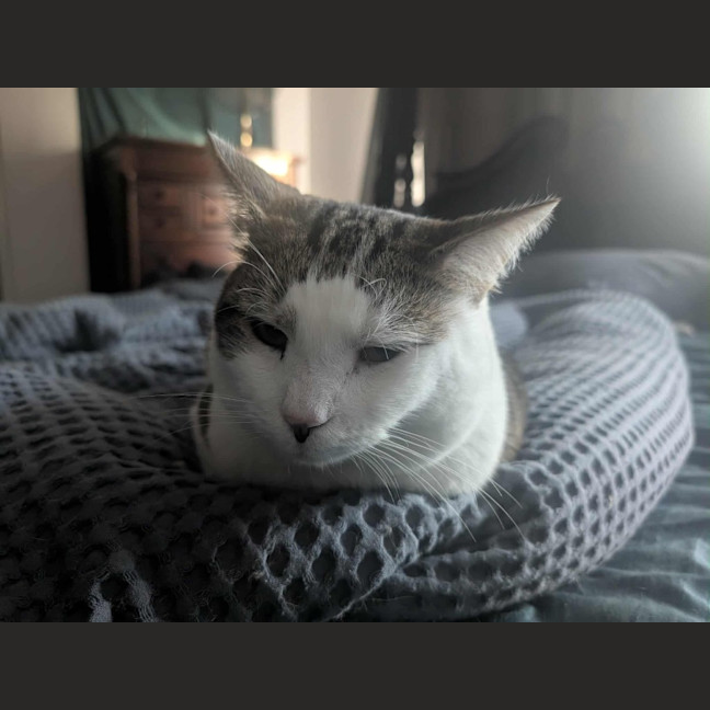 Photo of Pat