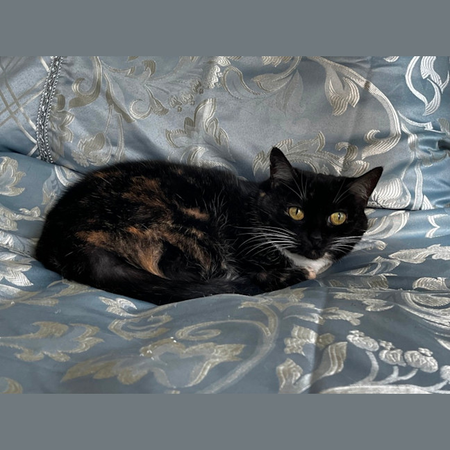Photo of Wait A Minette!