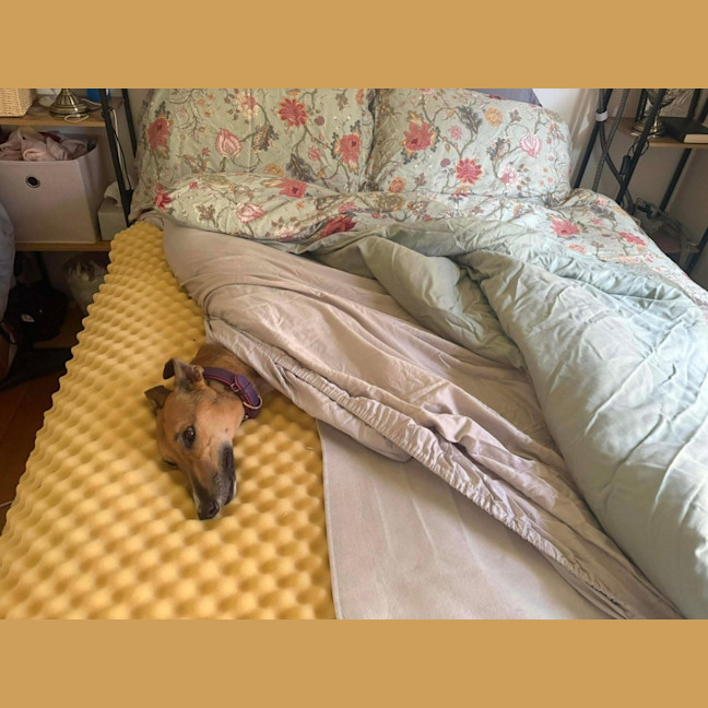 Photo of Cindy Lou Who