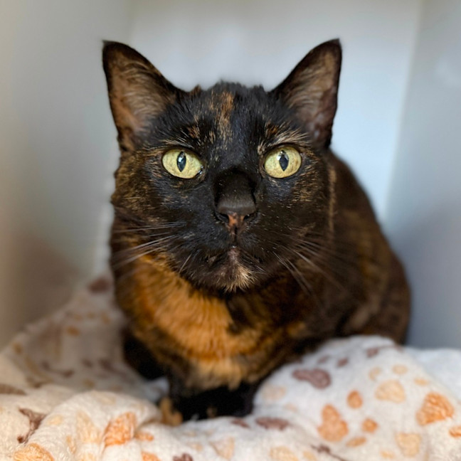 Photo of Charlotte