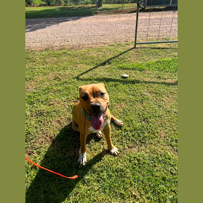 Photo of Zuko