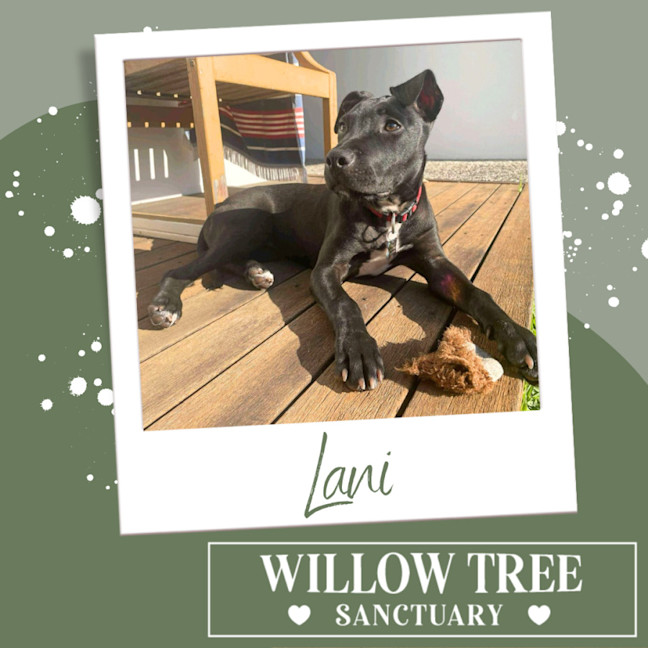 Photo of Lani