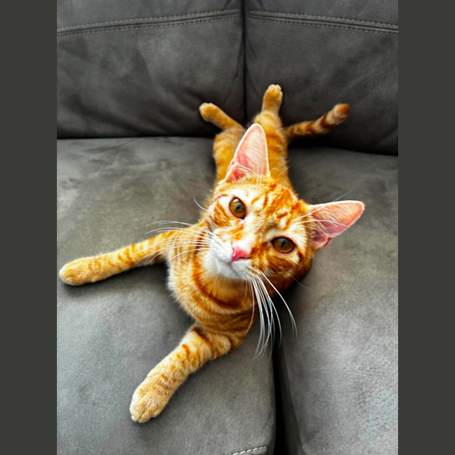 Photo of Ron